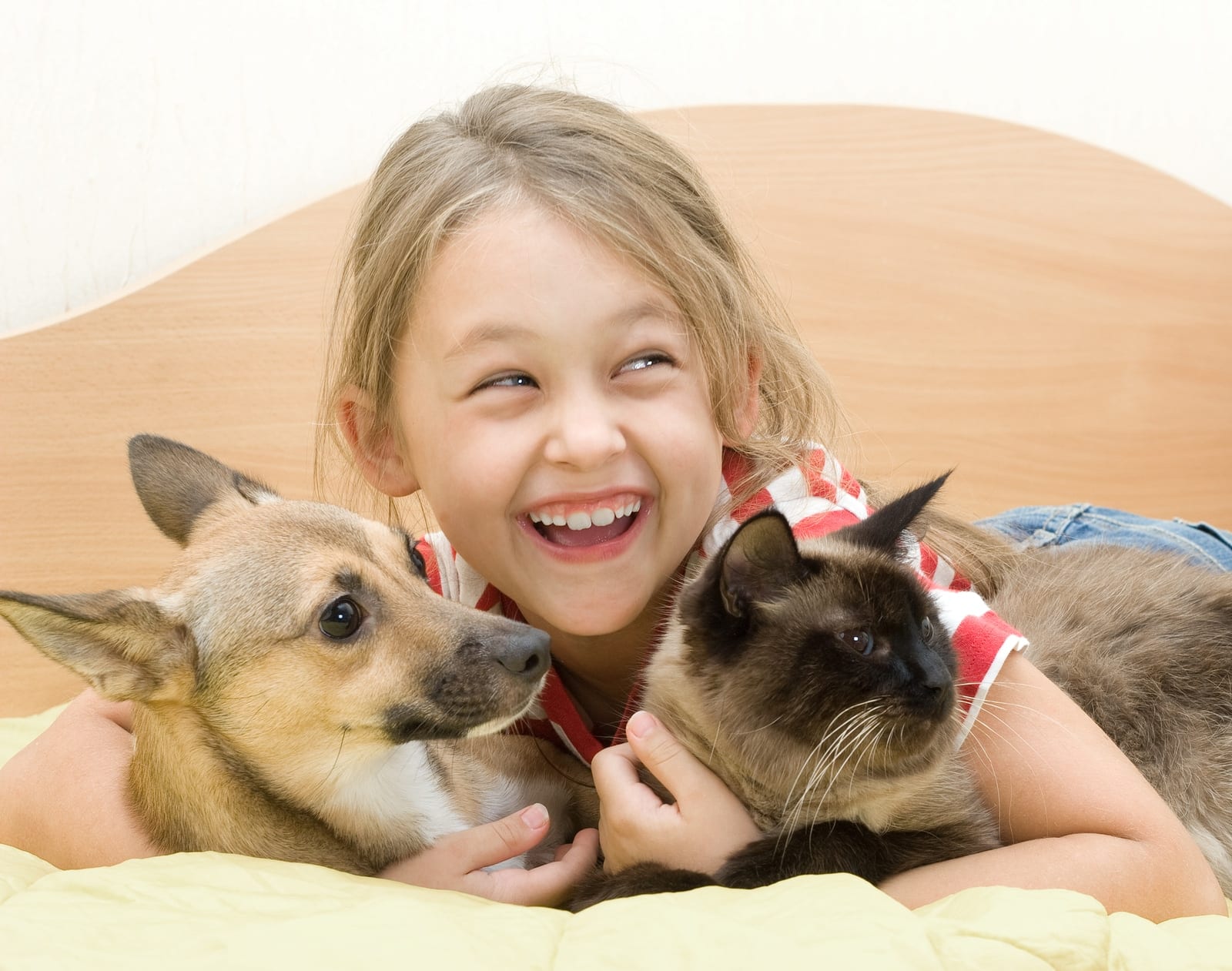 little girl with a dog and a cat on a bed of yellow color