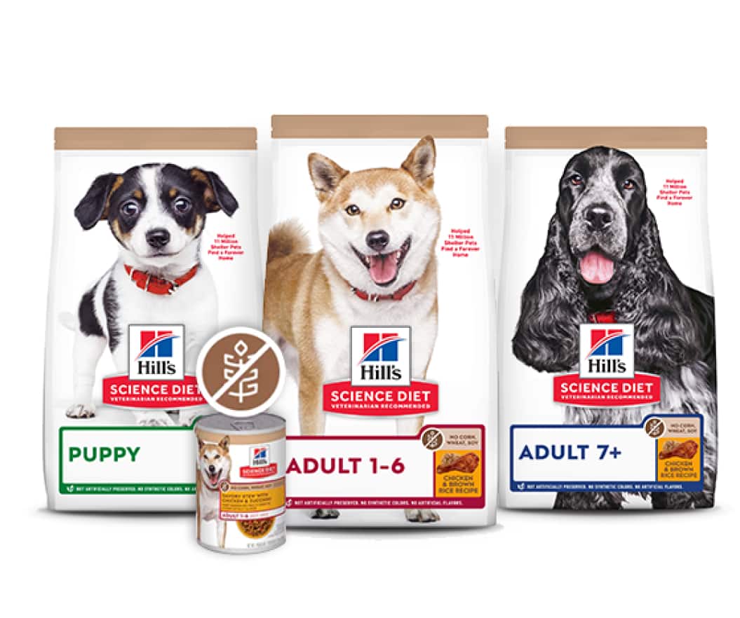 Alimentos para perros sin maíz, trigo ni soja